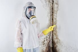  Liolnton, NC Mold Removal & Remediation Pros